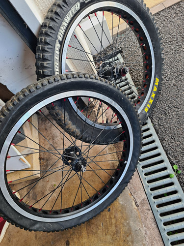 20in trials bike - , wheel